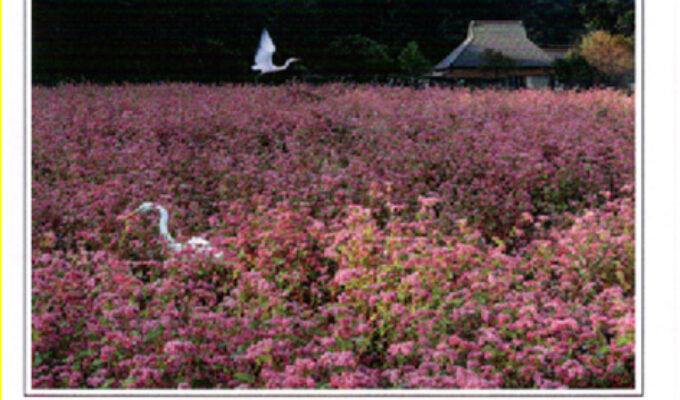 広島花の会写真展