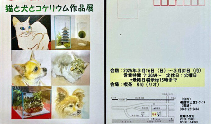 癒しの空間　猫と犬とコケリウム作品展