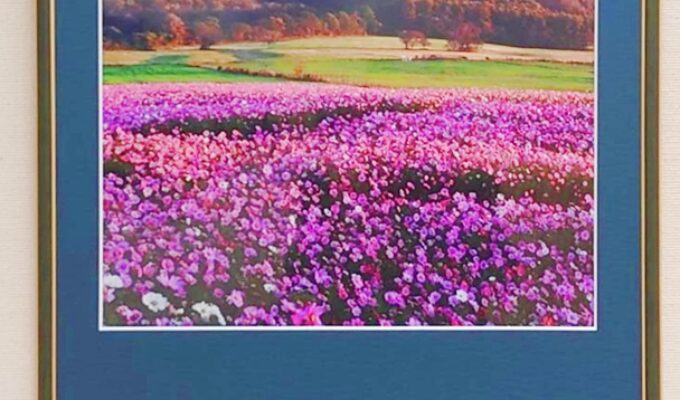 広島花の会写真展　2025