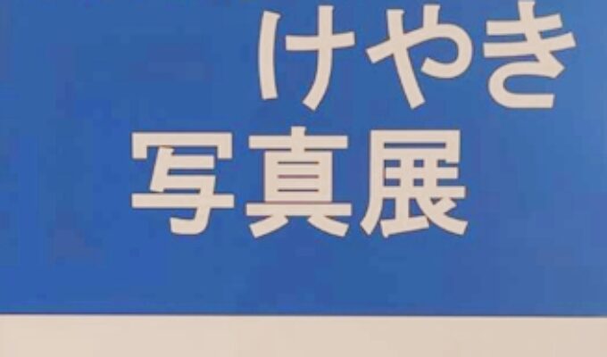 第29回フォトサークル銀河＆けやき写真展