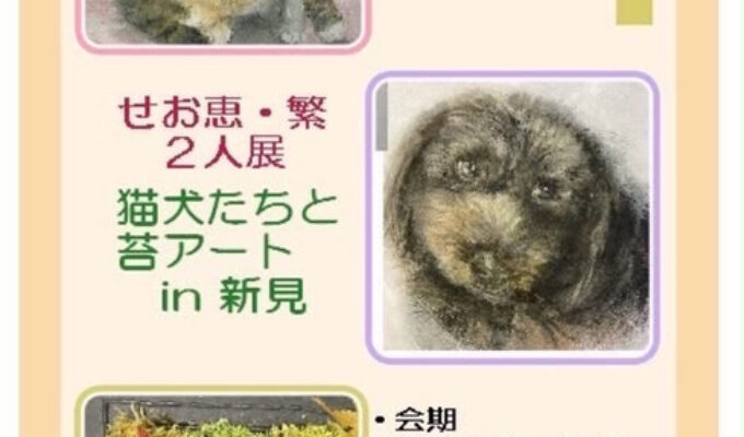 せお恵・繁二人展猫犬たちと苔アートin新見